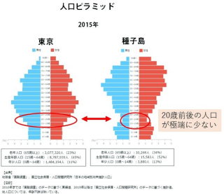 人口ピラミッド イメージ