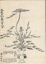 羽生慎翁の花絵図