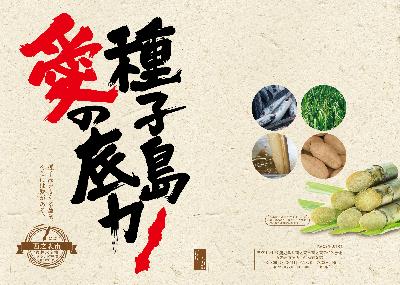 guidebook