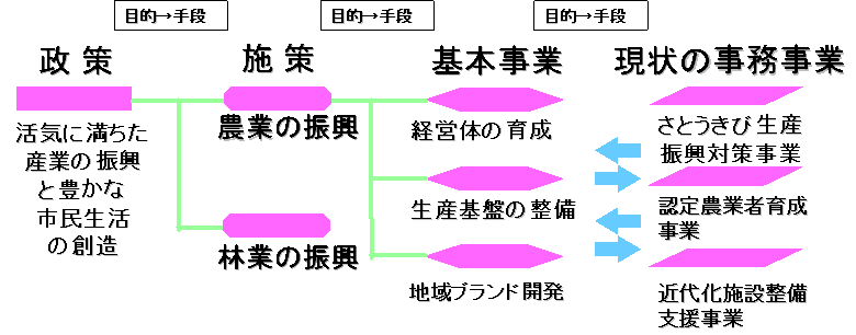 政策体系