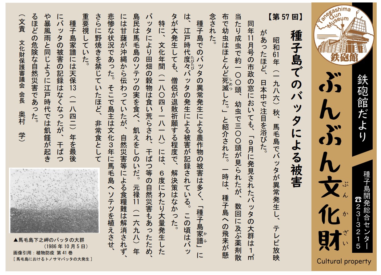 令和7年（2025）／種子島 西之表市