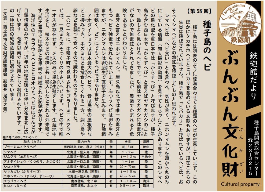 令和7年（2025）／種子島 西之表市