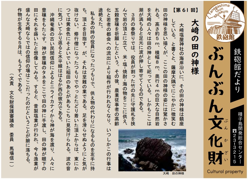 徳之島産キャサバ苗挿木用500本入り アントン3月末決算4月に発送 徳之島産キャサバ苗挿木用500本入り アントン3月末決算4月に