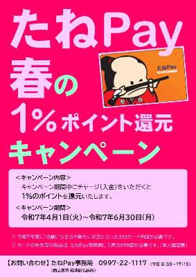 tanepay_spring_campaign
