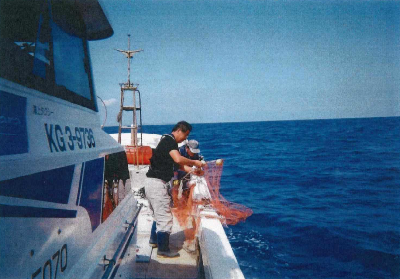 魚かご試験操業の様子