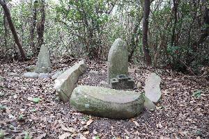 上西大花里の田の神山