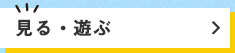 見る・遊ぶ