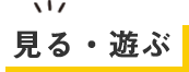 見る・遊ぶ